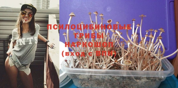спиды Арсеньев