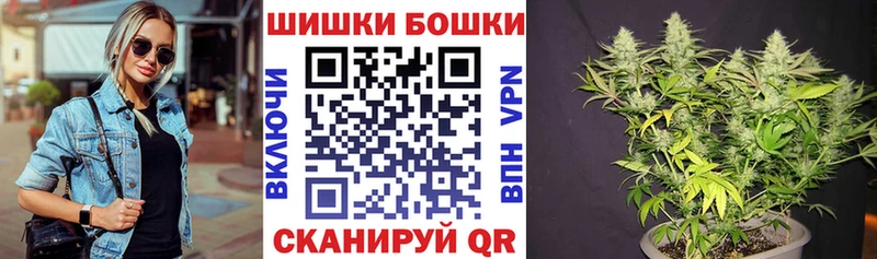 где купить наркоту  Старый Оскол  Шишки марихуана сатива 